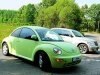 ����� � �������. Volkswagen New Beetle